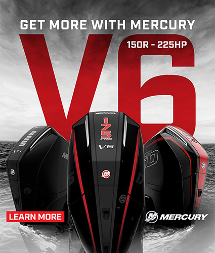 Get More with Mercury