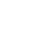 Adaptive Speed Control